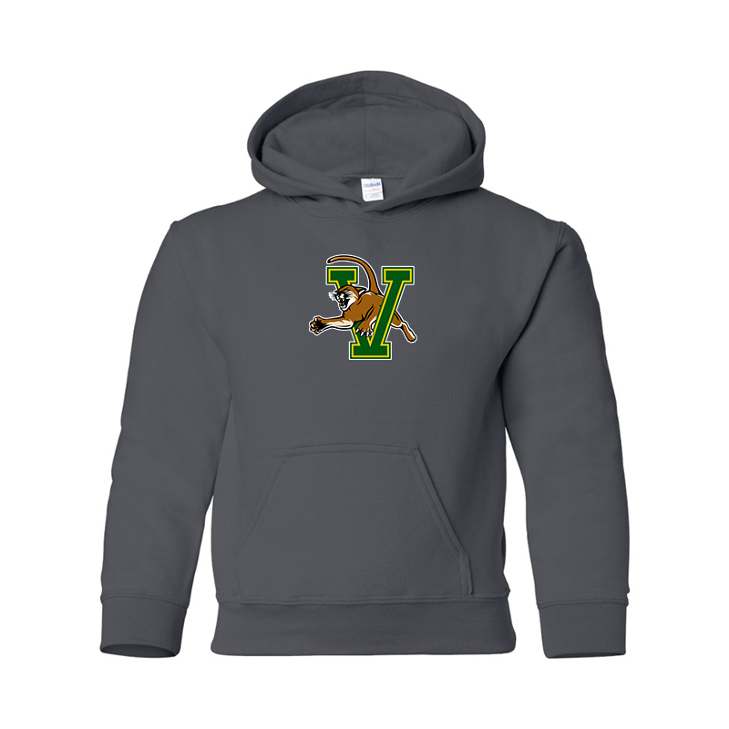 Youth Vermont Catamounts Gildan Heavy Blend  Hooded Sweatshirt