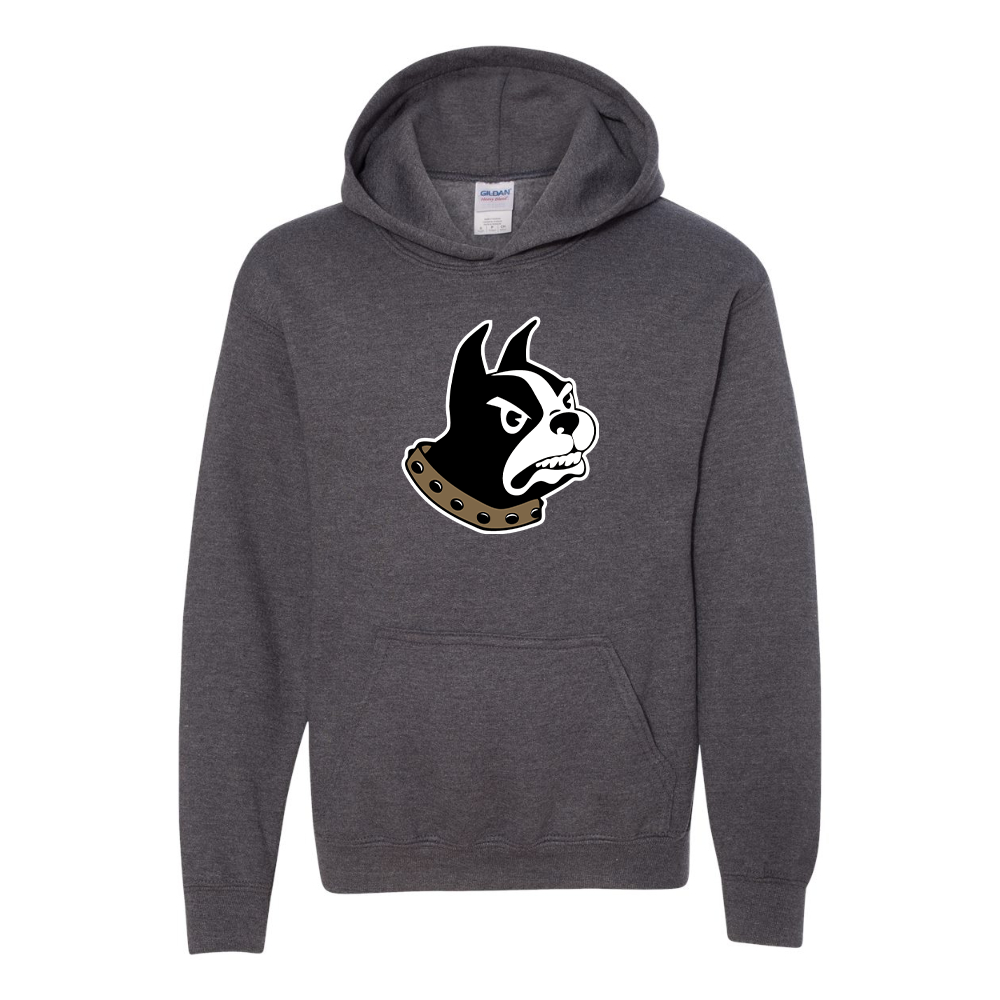Youth Wofford Terriers Gildan Heavy Blend  Hooded Sweatshirt