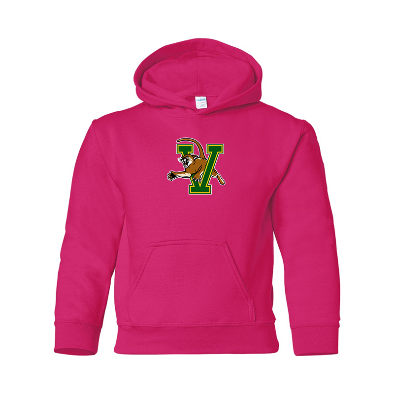 Youth Vermont Catamounts Gildan Heavy Blend  Hooded Sweatshirt