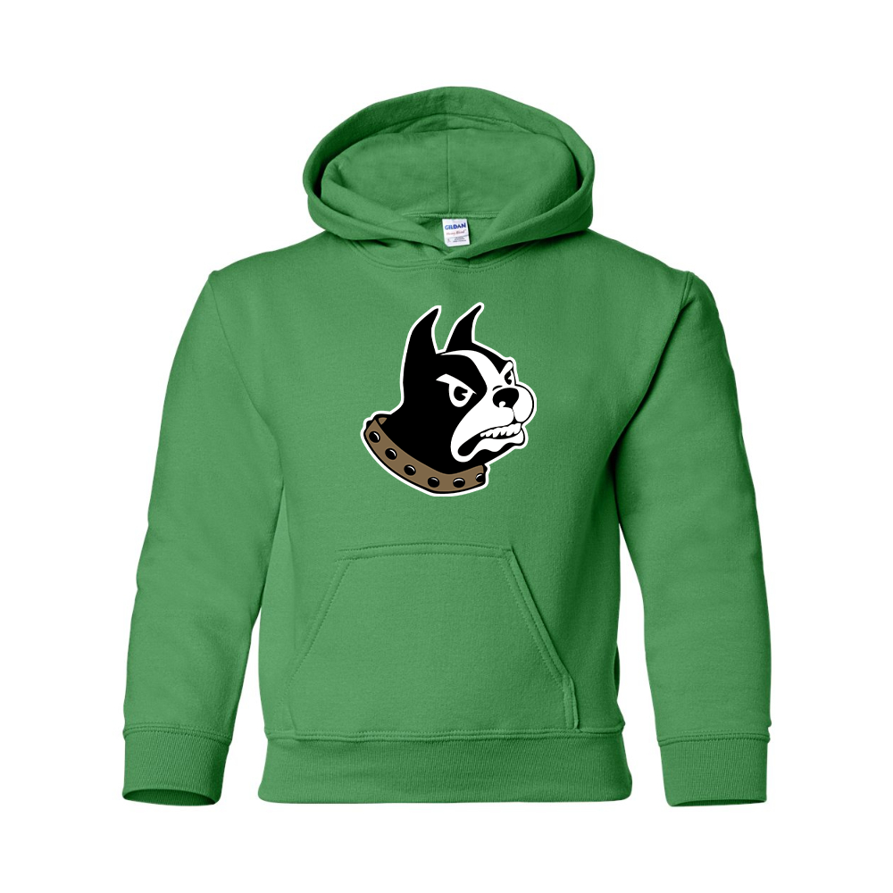 Youth Wofford Terriers Gildan Heavy Blend  Hooded Sweatshirt