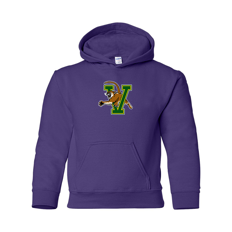 Youth Vermont Catamounts Gildan Heavy Blend  Hooded Sweatshirt