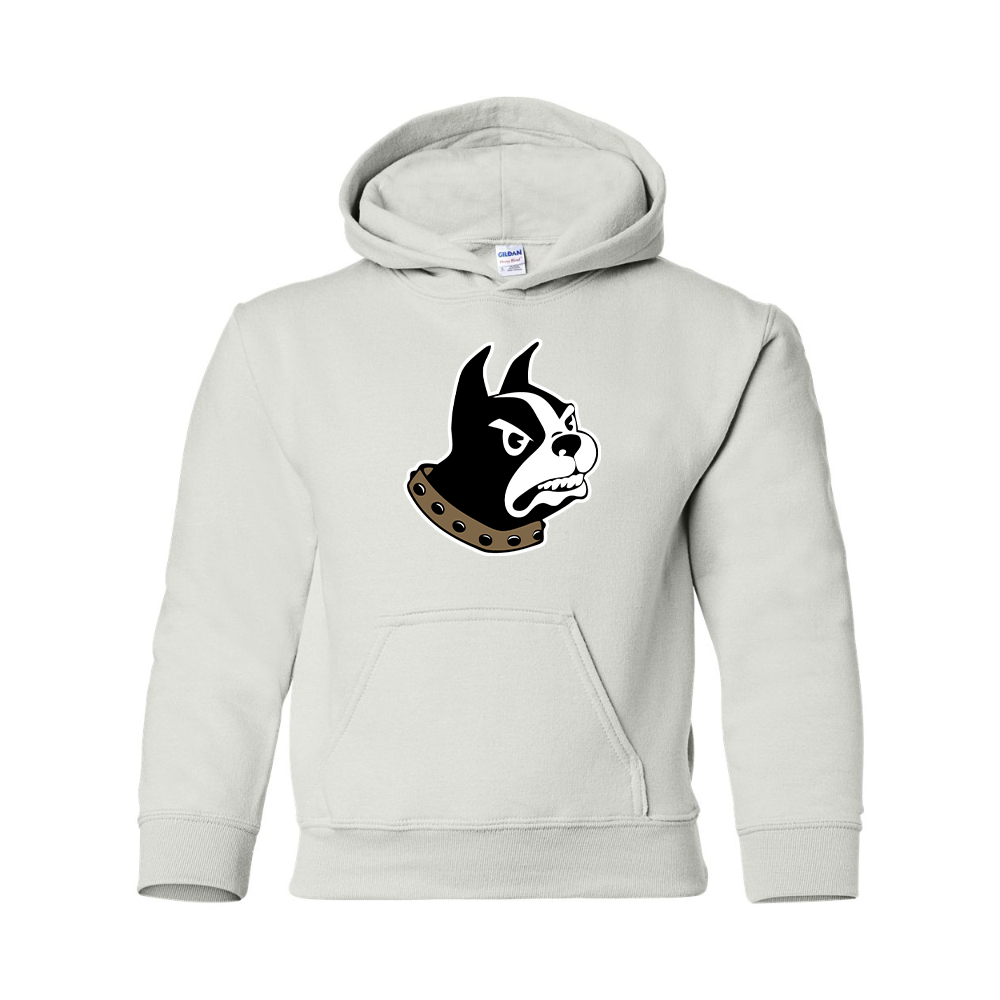 Youth Wofford Terriers Gildan Heavy Blend  Hooded Sweatshirt