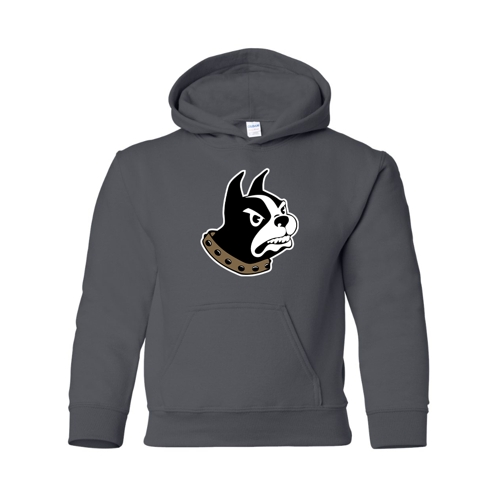 Youth Wofford Terriers Gildan Heavy Blend  Hooded Sweatshirt