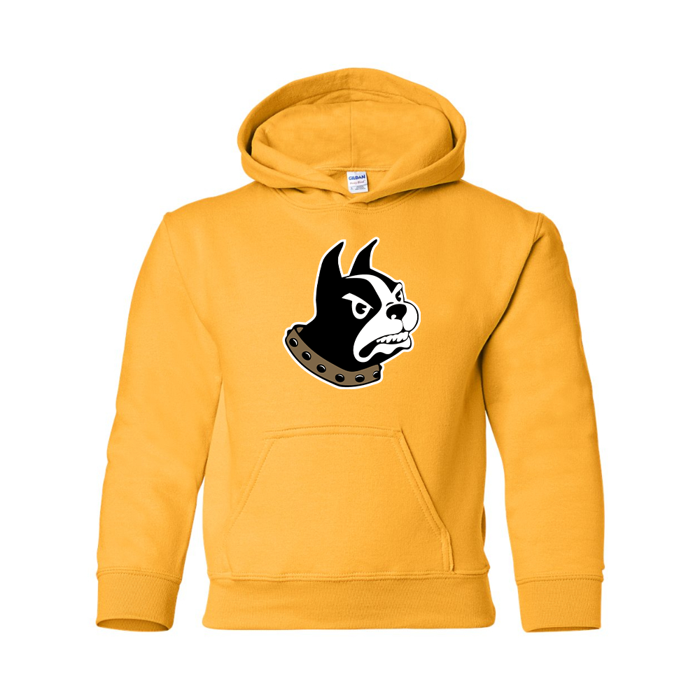 Youth Wofford Terriers Gildan Heavy Blend  Hooded Sweatshirt