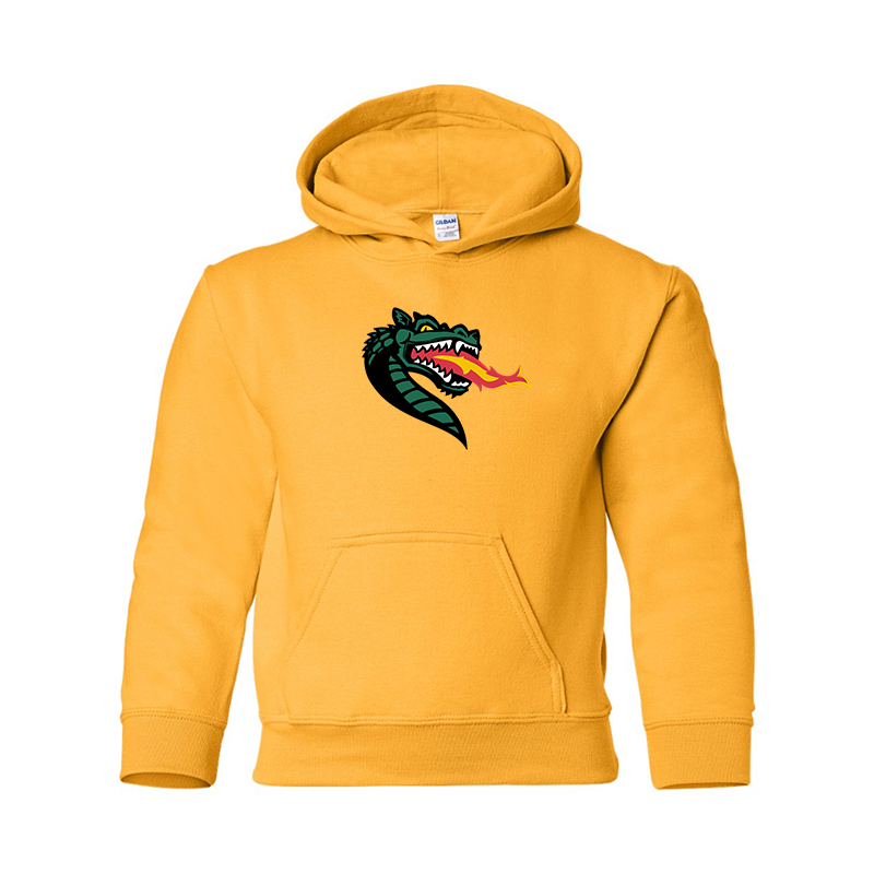 Youth UAB Blazers Gildan Heavy Blend  Hooded Sweatshirt
