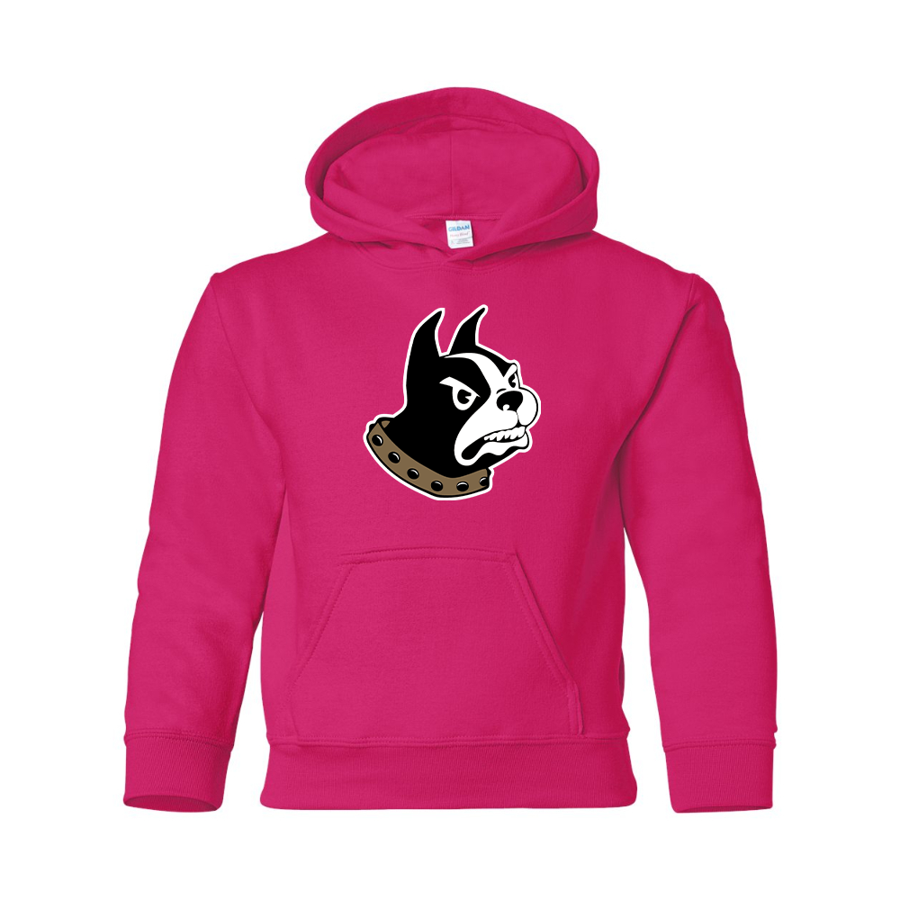 Youth Wofford Terriers Gildan Heavy Blend  Hooded Sweatshirt