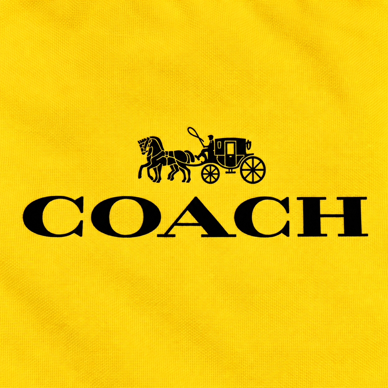 Coach Drawstring Bag - Yellow - detail