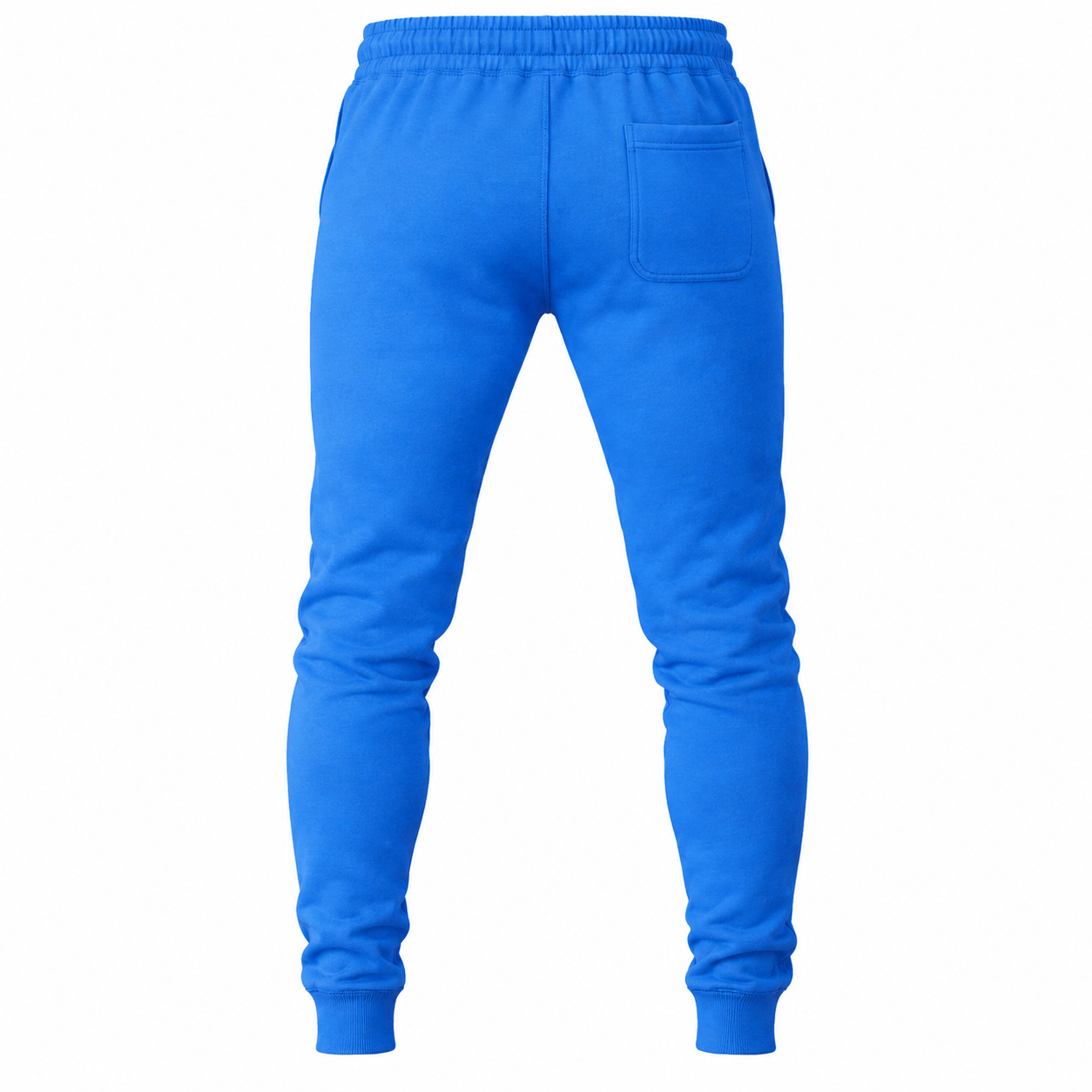 Coach sweatpants in Azure, rear view