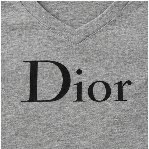 Women's Dior V-Neck T-Shirt | Color: Grey | Image 5